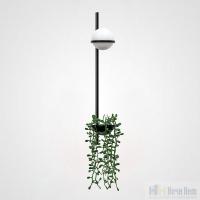 Бра ImperiumLoft Palma 168496-22, раздел каталога Бра с плафоном интернет-магазина Ночи Нет