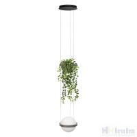 Светильник подвесной Loft IT Jardin 10121/1P Dark grey, раздел каталога Подвесы 1 лампа интернет-магазина Ночи Нет