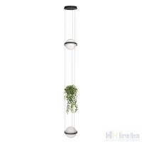 Светильник подвесной Loft IT Jardin 10121/2P Dark grey, раздел каталога Подвесы 2-3 лампы интернет-магазина Ночи Нет