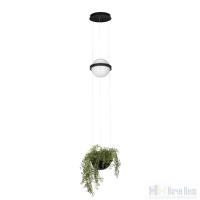 Светильник подвесной Loft IT Jardin 10121/B, раздел каталога Подвесы 1 лампа интернет-магазина Ночи Нет