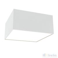 Светильник потолочный Maytoni Zon C067CL-L12W4K, раздел каталога Прямоугольные светильники интернет-магазина Ночи Нет