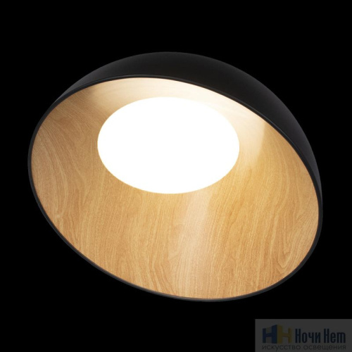 Светильник потолочный Loft IT Egg 10197/500 Black, раздел каталога Круглые современные светильники интернет-магазина Ночи Нет