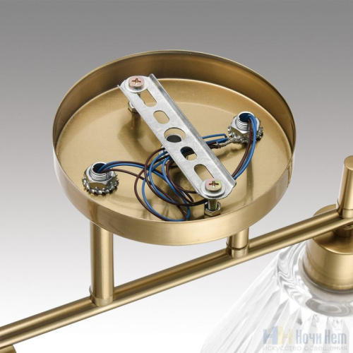 Люстра Lumion Vivian 8188/4C, раздел каталога Люстры с плафонами интернет-магазина Ночи Нет