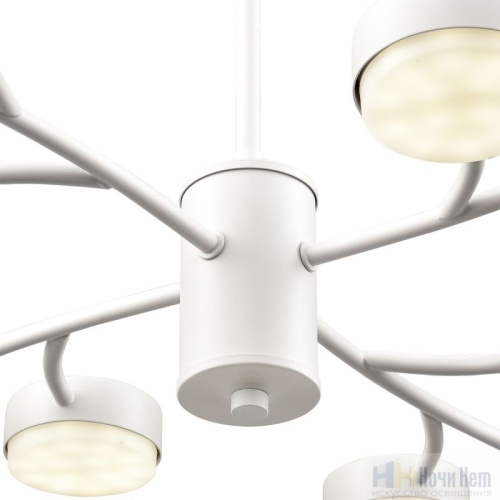 Люстра Lumion Torina 8265/12, раздел каталога Люстры с плафонами интернет-магазина Ночи Нет