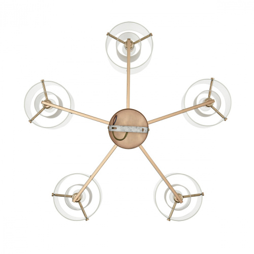 Люстра Lumion Verdi 6587/5C, раздел каталога Люстры с плафонами интернет-магазина Ночи Нет