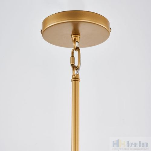 Светильник подвесной Favourite Radiales 3099-1P, раздел каталога Подвесы 1 лампа интернет-магазина Ночи Нет