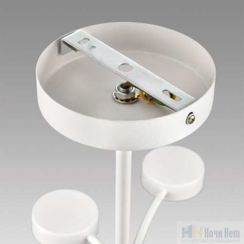 Люстра Lumion Torina 8265/12, раздел каталога Люстры с плафонами интернет-магазина Ночи Нет