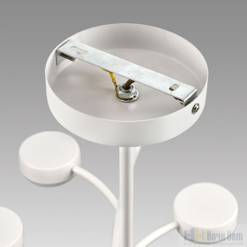 Люстра Lumion Torina 8265/18, раздел каталога Люстры с плафонами интернет-магазина Ночи Нет