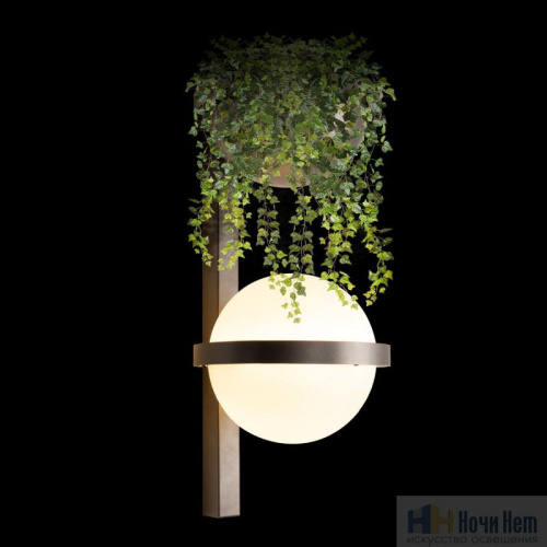 Бра Loft IT Jardin 10121W/B Dark grey, раздел каталога Светодиодные бра интернет-магазина Ночи Нет