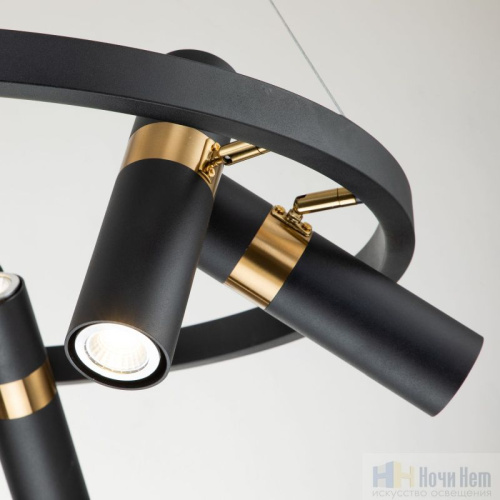 Люстра Favourite Light point 2997-6P, раздел каталога Люстры с плафонами интернет-магазина Ночи Нет