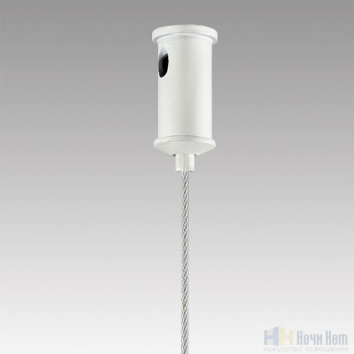 Люстра Lumion Torina 8265/7, раздел каталога Люстры с плафонами интернет-магазина Ночи Нет