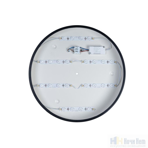 Светильник потолочный Loft IT Axel 10002/24 Black, раздел каталога Круглые современные светильники интернет-магазина Ночи Нет