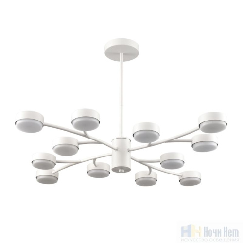 Люстра Lumion Torina 8265/12, раздел каталога Люстры с плафонами интернет-магазина Ночи Нет