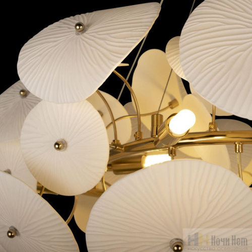 Люстра Loft IT Paradise 10234/800, раздел каталога Люстры с плафонами интернет-магазина Ночи Нет