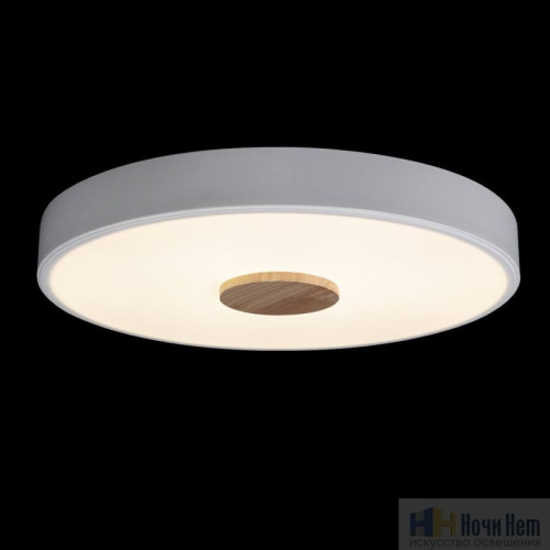 Светильник потолочный Loft IT Axel 10003/24 White, раздел каталога Круглые современные светильники интернет-магазина Ночи Нет