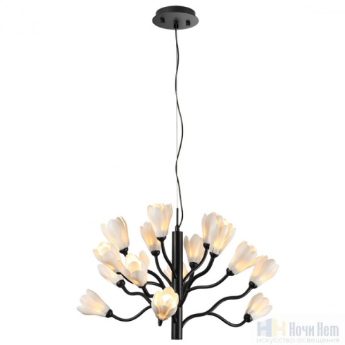 Люстра Odeon Light Gardi 5090/15, раздел каталога Люстры с плафонами интернет-магазина Ночи Нет