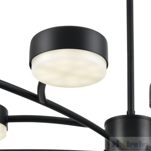 Люстра Lumion Torina 8117/18, раздел каталога Люстры с плафонами интернет-магазина Ночи Нет