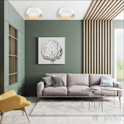 Светильник потолочный Loft IT Evans 10224 Black, раздел каталога Круглые современные светильники интернет-магазина Ночи Нет