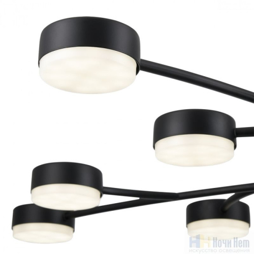 Люстра Lumion Torina 8117/15, раздел каталога Люстры с плафонами интернет-магазина Ночи Нет