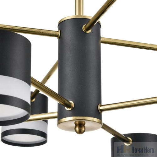 Люстра Lumion Lanika 8240/8C, раздел каталога Люстры с плафонами интернет-магазина Ночи Нет