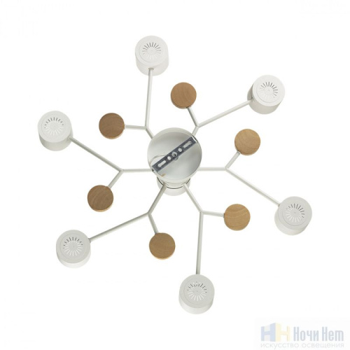 Люстра Lumion Rondo 8195/7C, раздел каталога Люстры с плафонами интернет-магазина Ночи Нет