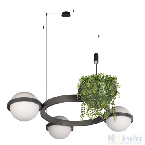 Люстра Loft IT Jardin 10121/3 Dark grey, раздел каталога Светодиодные люстры интернет-магазина Ночи Нет