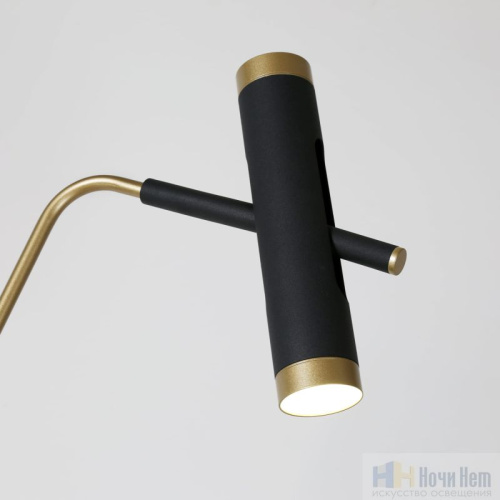 Торшер Favourite Duplex 2324-2F, раздел каталога Светодиодные торшеры интернет-магазина Ночи Нет