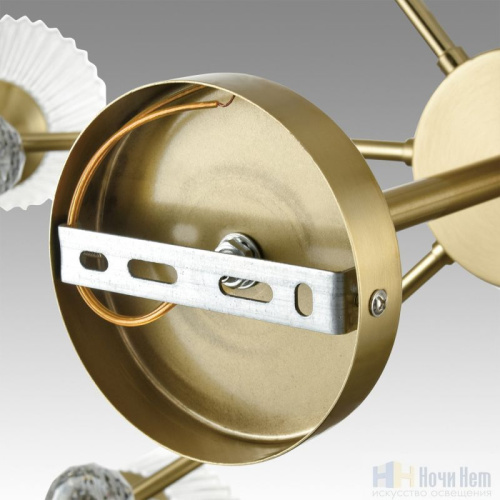 Люстра Lumion Aurica 8046/6C, раздел каталога Люстры с плафонами интернет-магазина Ночи Нет