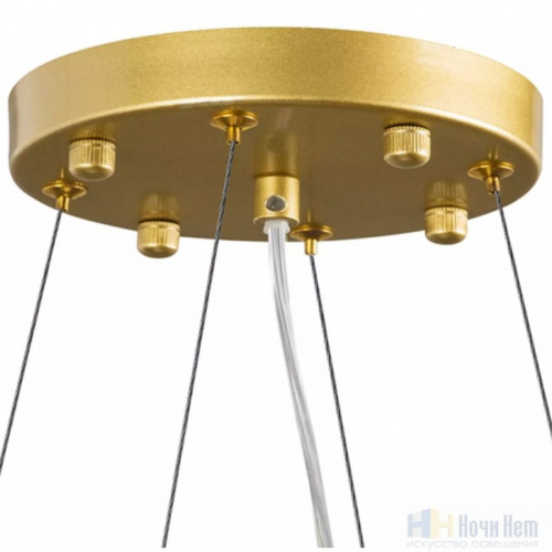 Люстра Lightstar Savona 816202, раздел каталога Люстры с плафонами интернет-магазина Ночи Нет