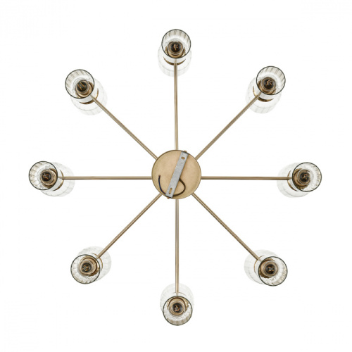 Люстра Lumion Kassia 6586/16, раздел каталога Люстры с плафонами интернет-магазина Ночи Нет