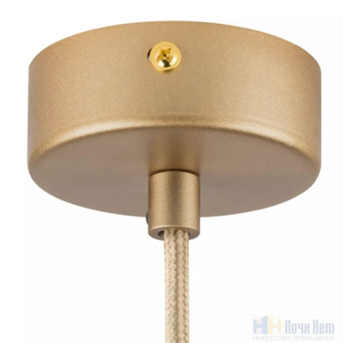 Светильник подвесной Lightstar Dumo 816313, раздел каталога Подвесы 1 лампа интернет-магазина Ночи Нет