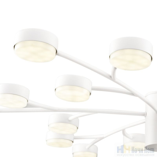 Люстра Lumion Torina 8265/18, раздел каталога Люстры с плафонами интернет-магазина Ночи Нет