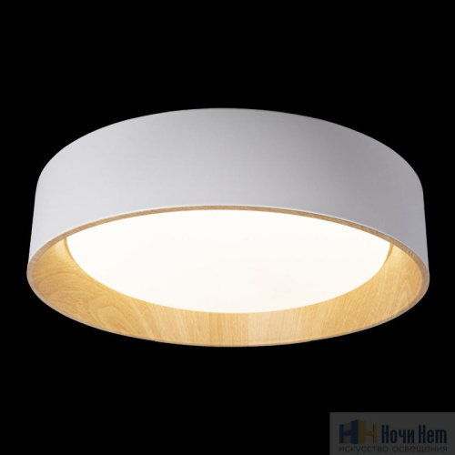 Светильник потолочный Loft IT Coin 10202 White, раздел каталога Круглые современные светильники интернет-магазина Ночи Нет