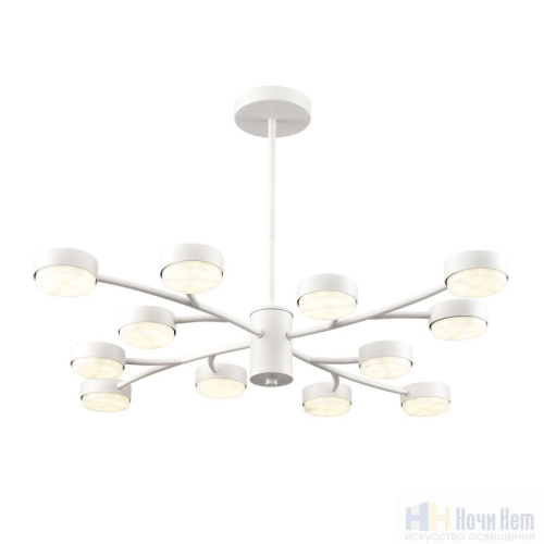 Люстра Lumion Torina 8265/12, раздел каталога Люстры с плафонами интернет-магазина Ночи Нет