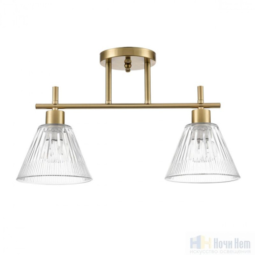 Люстра Lumion Vivian 8188/2C, раздел каталога Люстры с плафонами интернет-магазина Ночи Нет