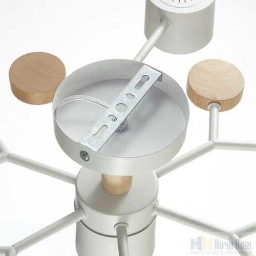 Люстра Lumion Rondo 8195/7C, раздел каталога Люстры с плафонами интернет-магазина Ночи Нет