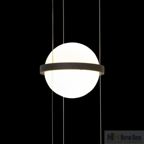 Светильник подвесной Loft IT Jardin 10121/B, раздел каталога Подвесы 1 лампа интернет-магазина Ночи Нет