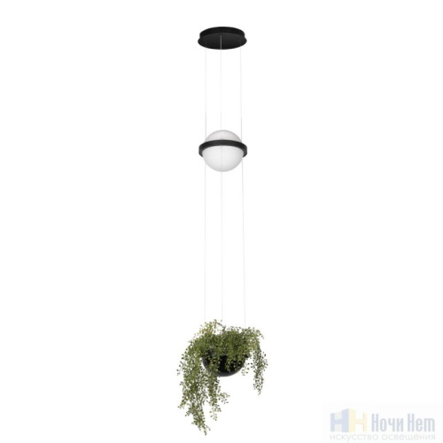 Светильник подвесной Loft IT Jardin 10121/B, раздел каталога Подвесы 1 лампа интернет-магазина Ночи Нет