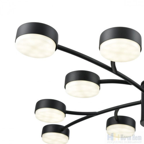 Люстра Lumion Torina 8117/12, раздел каталога Люстры с плафонами интернет-магазина Ночи Нет