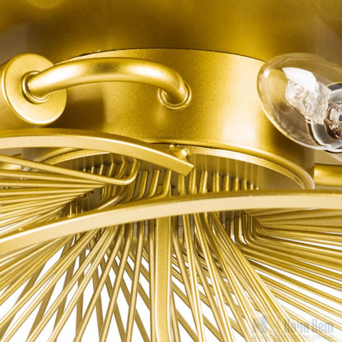 Люстра Lightstar Zeta 728133, раздел каталога Люстры с плафонами интернет-магазина Ночи Нет