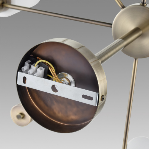 Люстра Lumion Mave 8100/8C, раздел каталога Люстры с плафонами интернет-магазина Ночи Нет