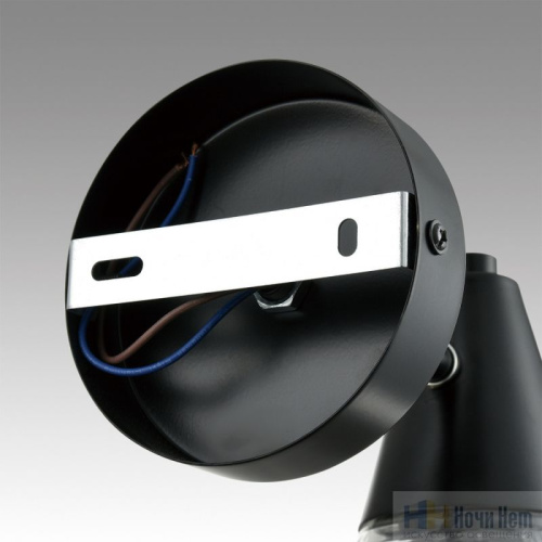 Бра Lumion Corne 6595/1W, раздел каталога Бра с плафоном интернет-магазина Ночи Нет