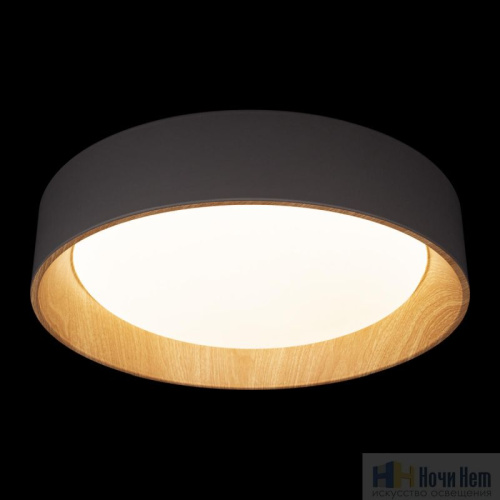 Светильник потолочный Loft IT Coin 10202 Grey, раздел каталога Круглые современные светильники интернет-магазина Ночи Нет