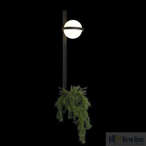 Бра Loft IT Jardin 10121W/B, раздел каталога Светодиодные бра интернет-магазина Ночи Нет