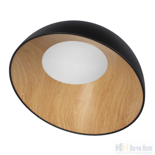 Светильник потолочный Loft IT Egg 10197/500 Black, раздел каталога Круглые современные светильники интернет-магазина Ночи Нет