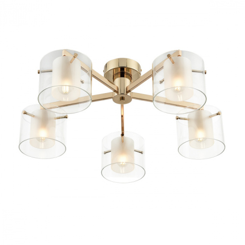 Люстра Lumion Verdi 6587/5C, раздел каталога Люстры с плафонами интернет-магазина Ночи Нет