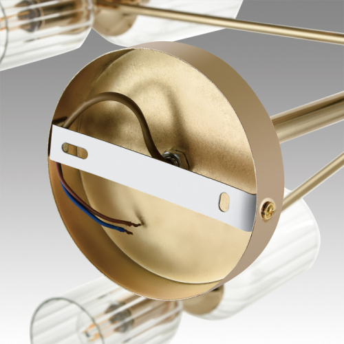 Люстра Lumion Kassia 6586/16, раздел каталога Люстры с плафонами интернет-магазина Ночи Нет