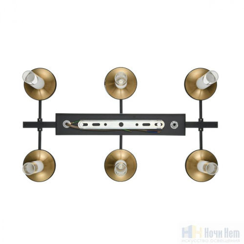 Люстра Lumion Tamaresa 8112/12, раздел каталога Люстры с плафонами интернет-магазина Ночи Нет