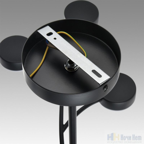 Люстра Lumion Torina 8117/15, раздел каталога Люстры с плафонами интернет-магазина Ночи Нет