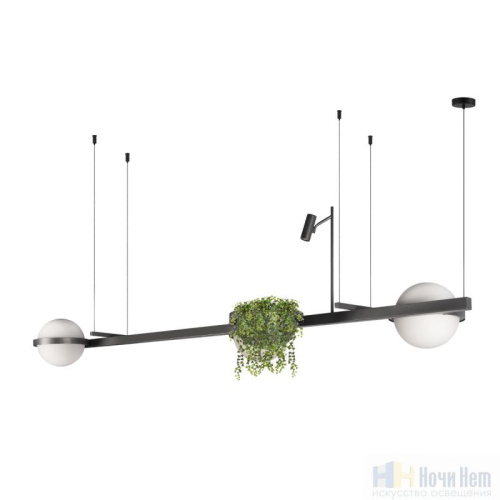 Люстра Loft IT Jardin 10121/C Dark grey, раздел каталога Светодиодные люстры интернет-магазина Ночи Нет